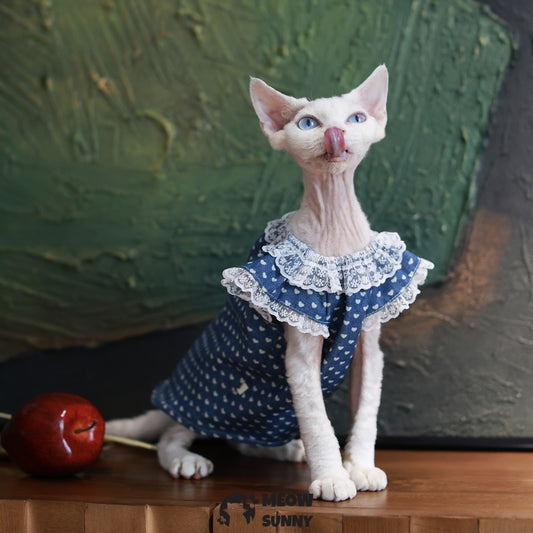 Sphynx Hairless Cat Clothes Cute Breathable lace Blue Dress