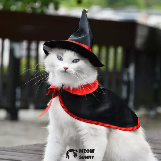 Halloween Pet Costume Cat Funny Wizard Cat Clothes Cloak and Hat