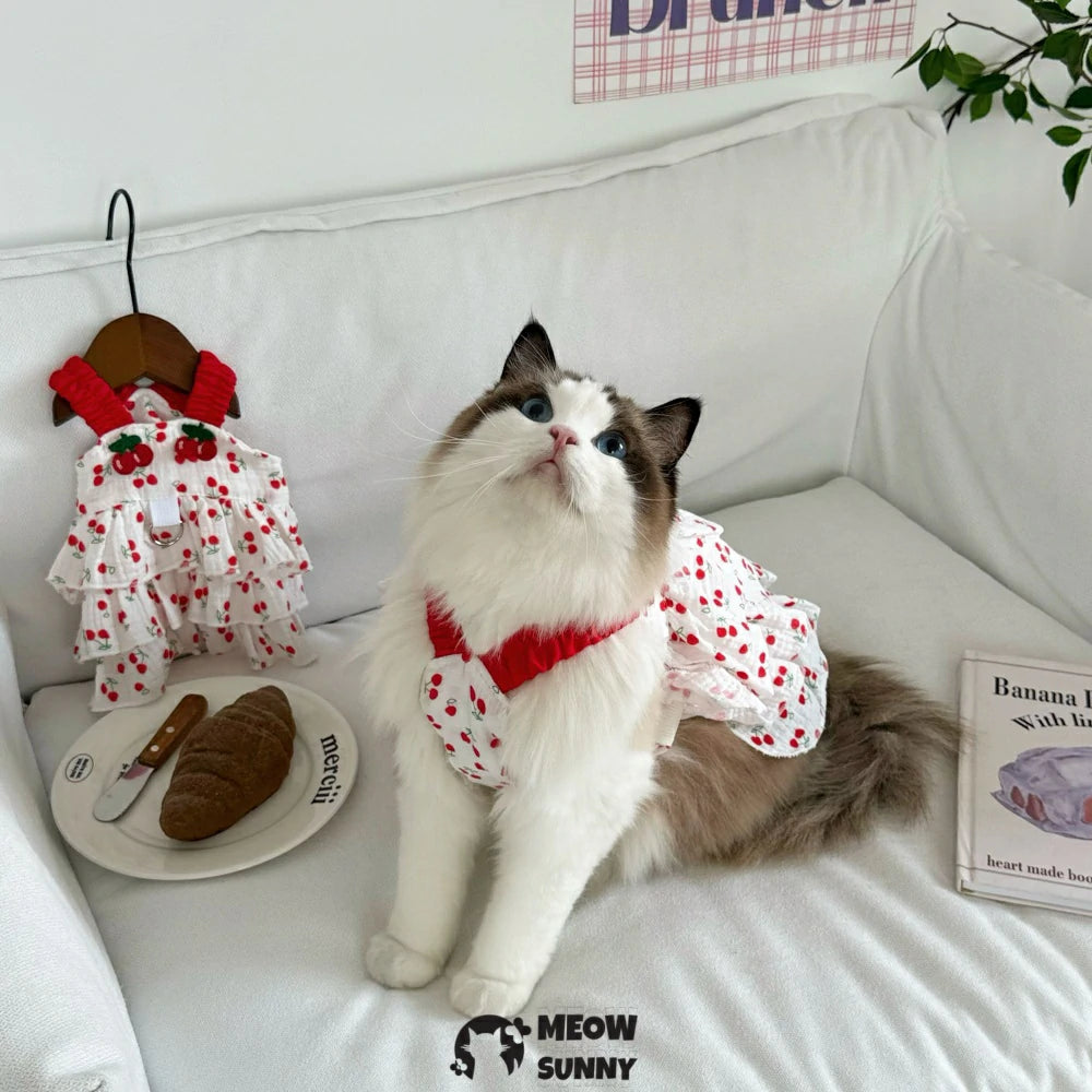 Thin, anti-shedding pet cat dress with shoulder straps.