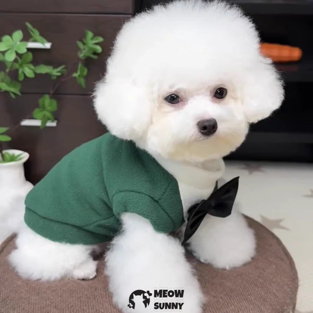 New Autumn/Winter Collection: Dog Clothing, Suits, and Pet Formal Wear