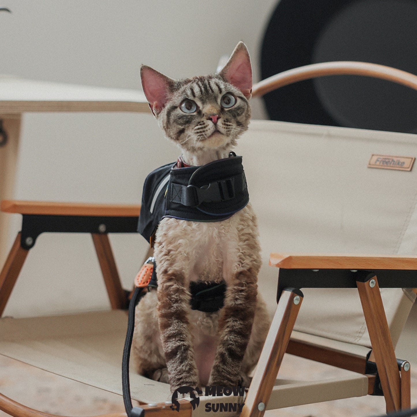 Summer outdoor fashion backpack denim cat vest with hat /Leashes& Harnesses set