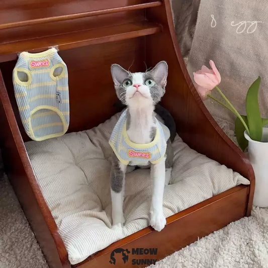 Sphynx Hairless Cat Blue and Yellow Striped Cute Summer Vest