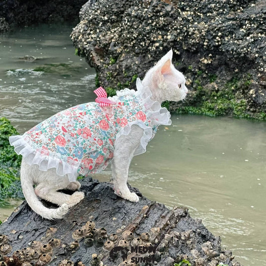 Hairless cat summer light and cool sleeveless floral cute dress