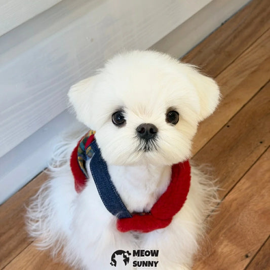 Pet dog clothes, home wear, plush harness vest in red.