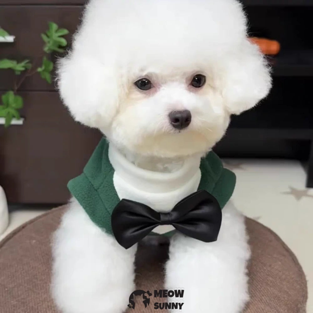 New Autumn/Winter Collection: Dog Clothing, Suits, and Pet Formal Wear