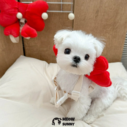 Pet carrier backpack with bowknot decoration, cute and princess-like.