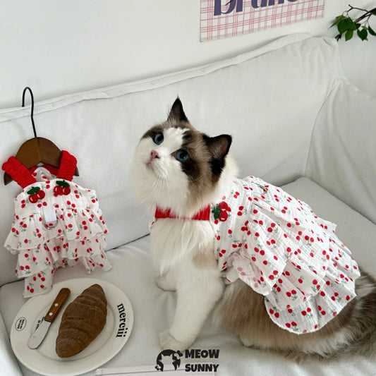 Thin, anti-shedding pet cat dress with shoulder straps.