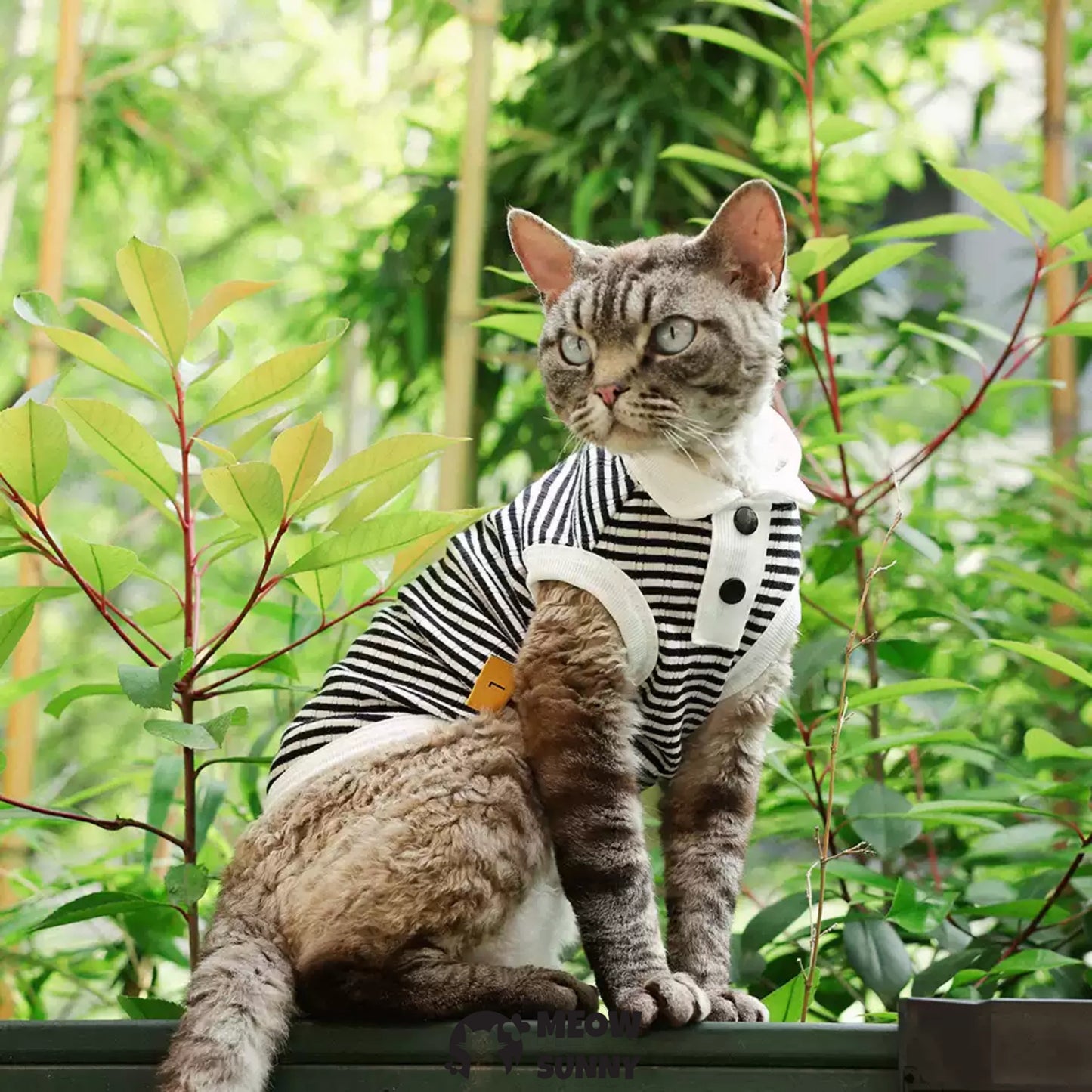 Summer Thin Simple Striped Cat POLO Shirt