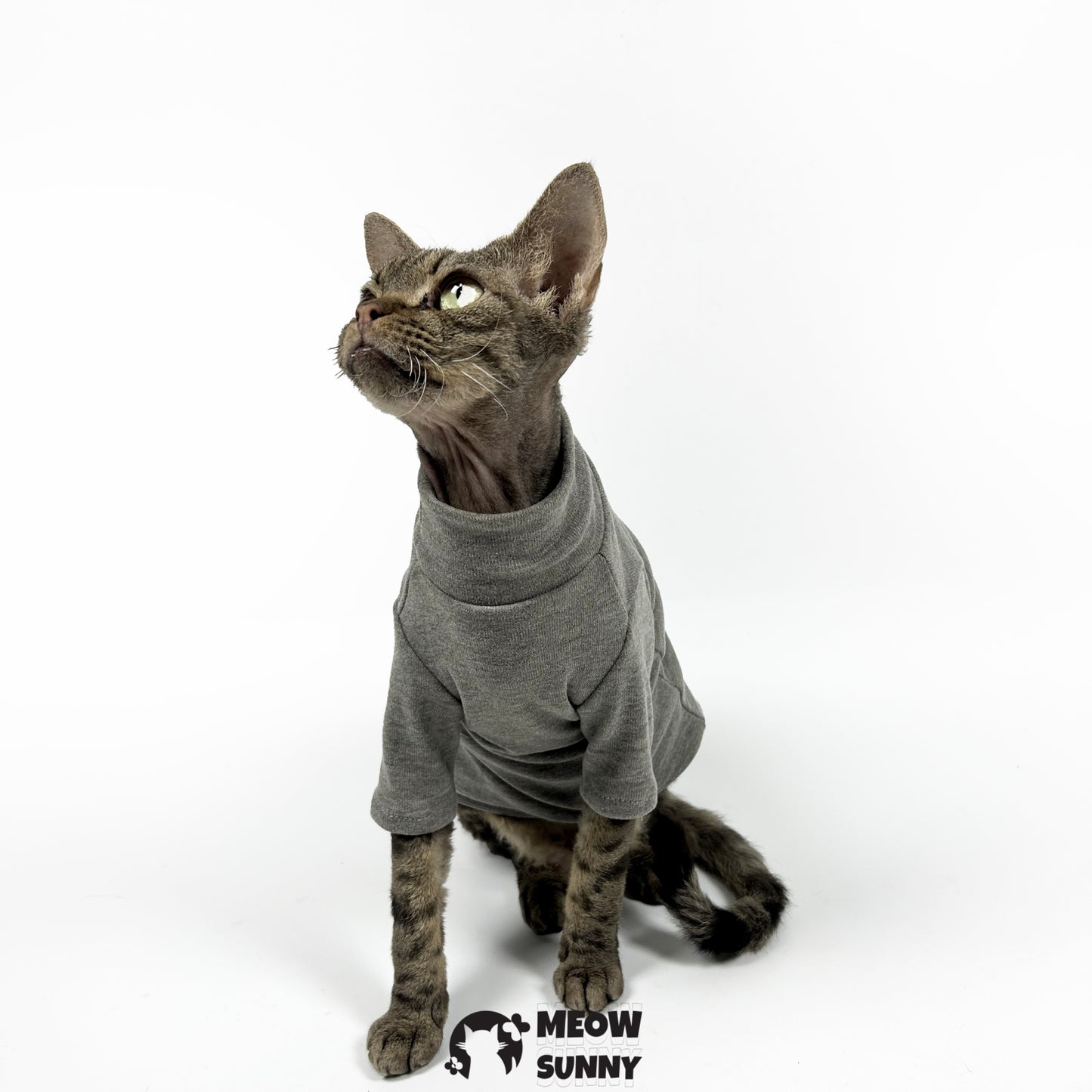 Ribbed Henley Dog & Cat T-Shirt, Small