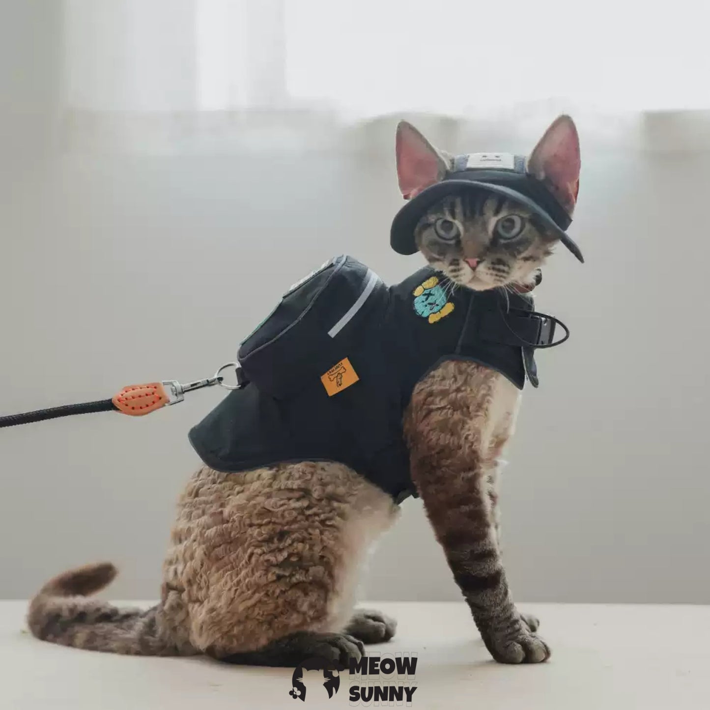 Summer outdoor fashion backpack denim cat vest with hat /Leashes& Harnesses set