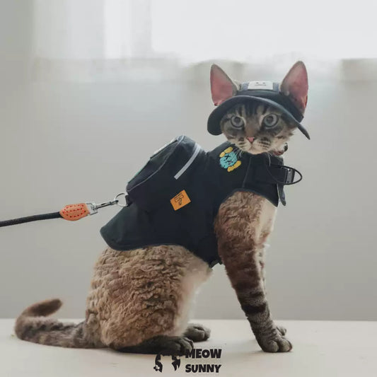 Summer outdoor fashion backpack denim cat vest with hat /Leashes& Harnesses set