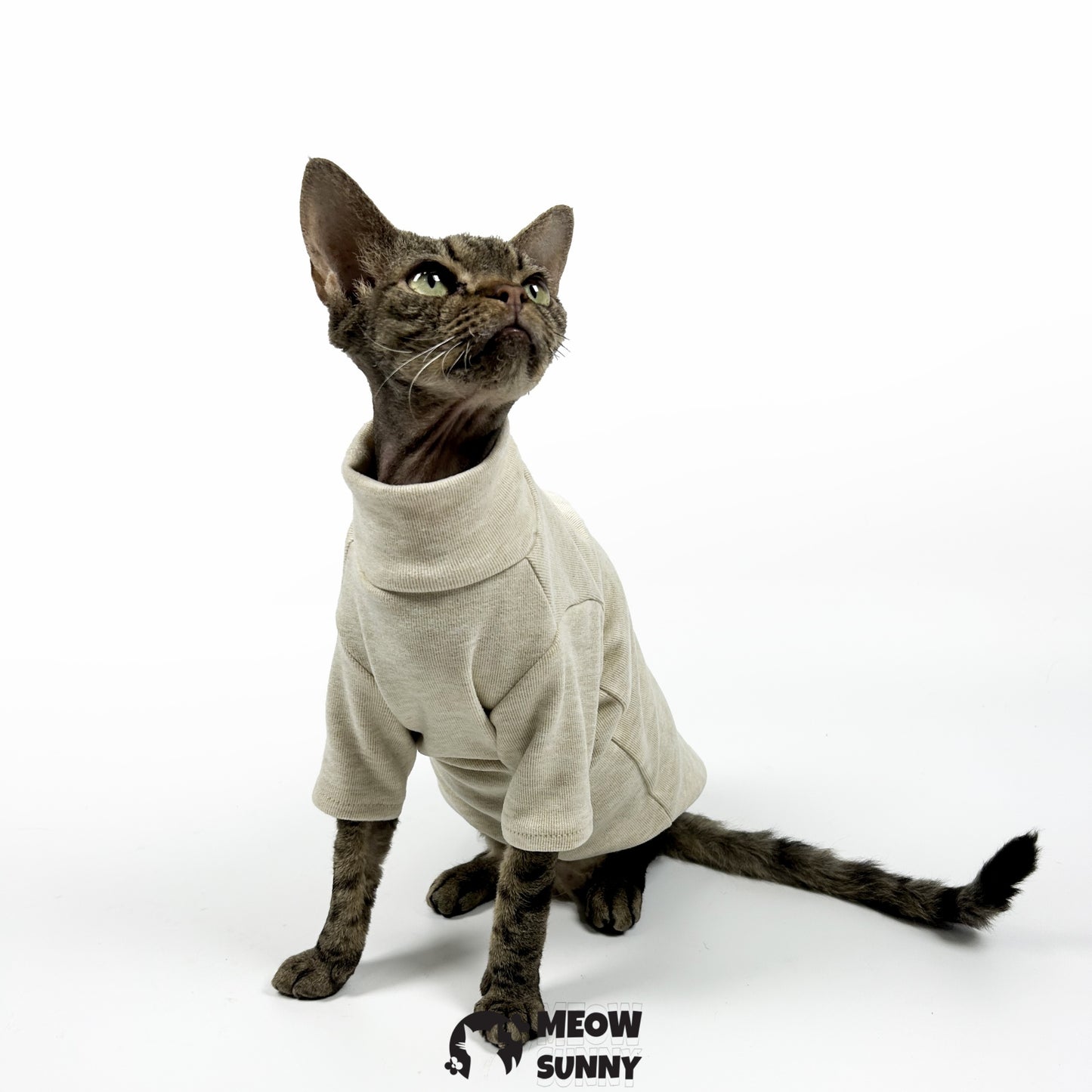 Ribbed Henley Dog & Cat T-Shirt, Small