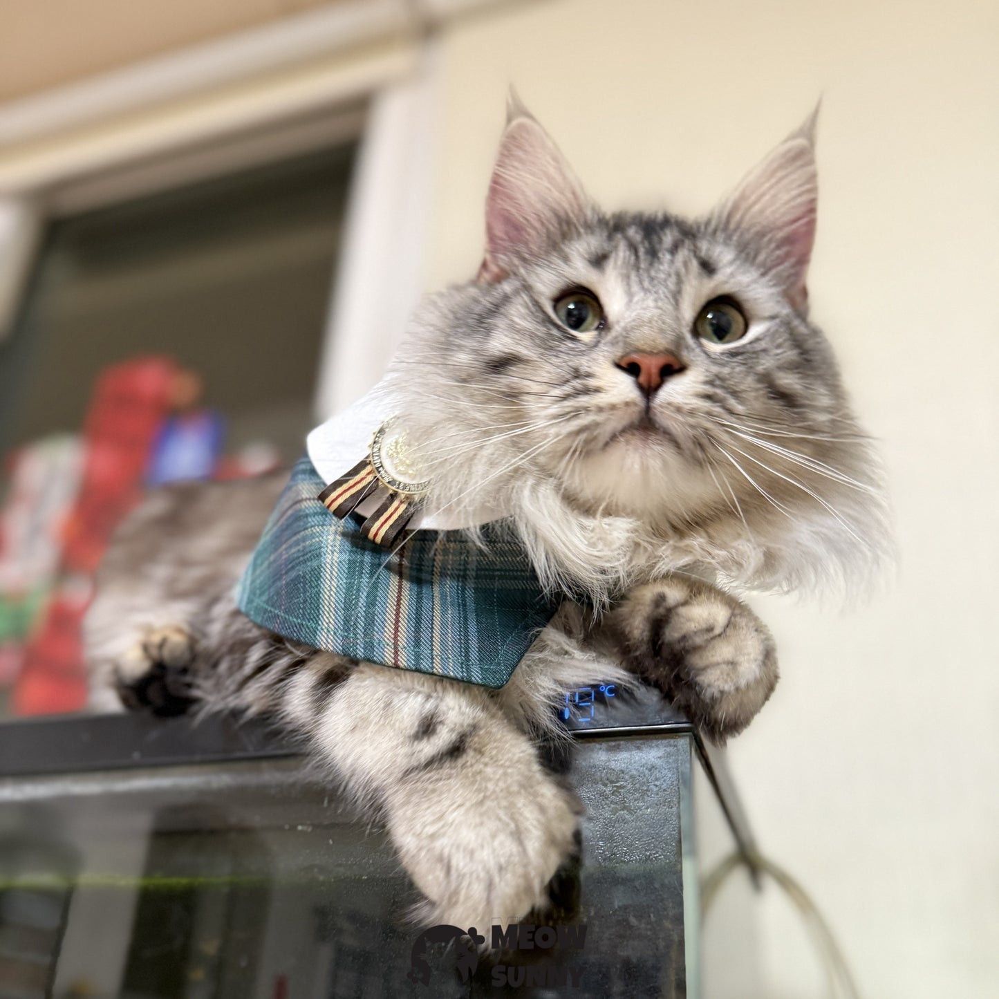 Elegant Dog & Cat Cape Plaid Holiday Pajama