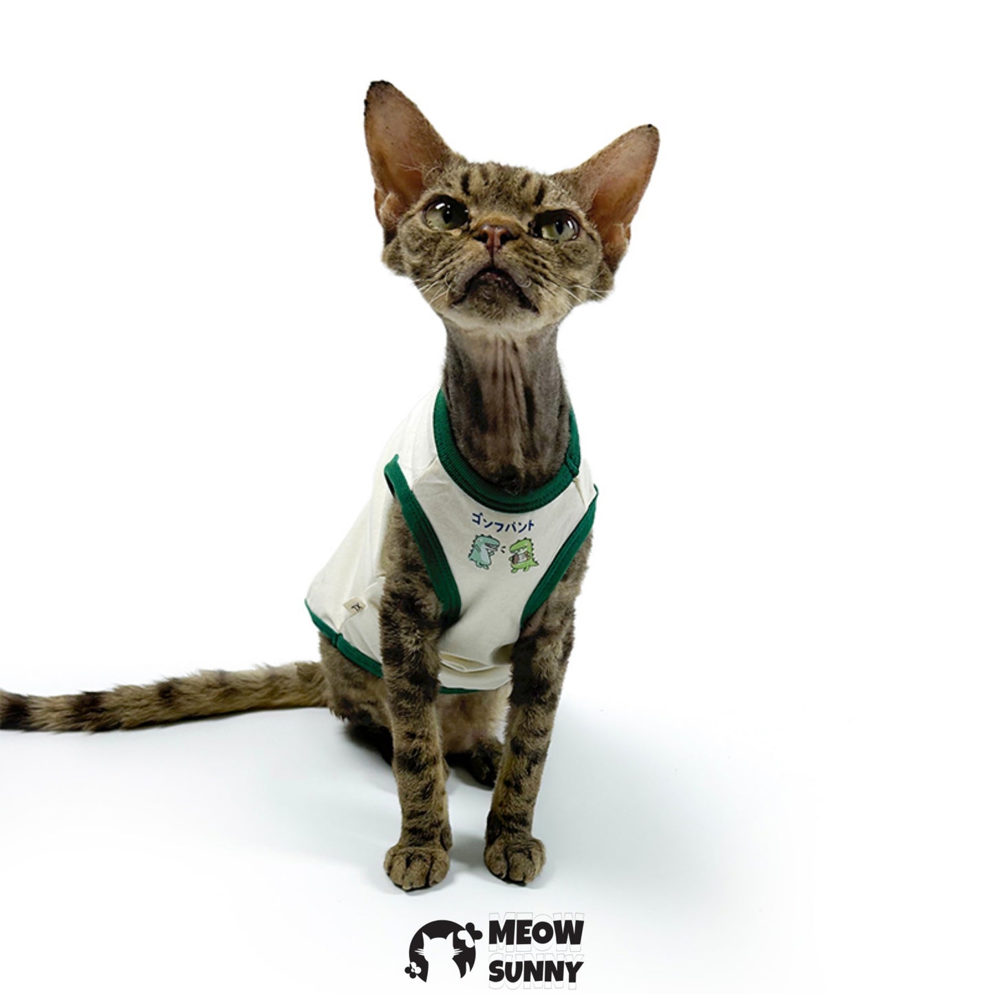 Pet Southwestern Tribal Lozenges Service Dog Harness Vest,  Small