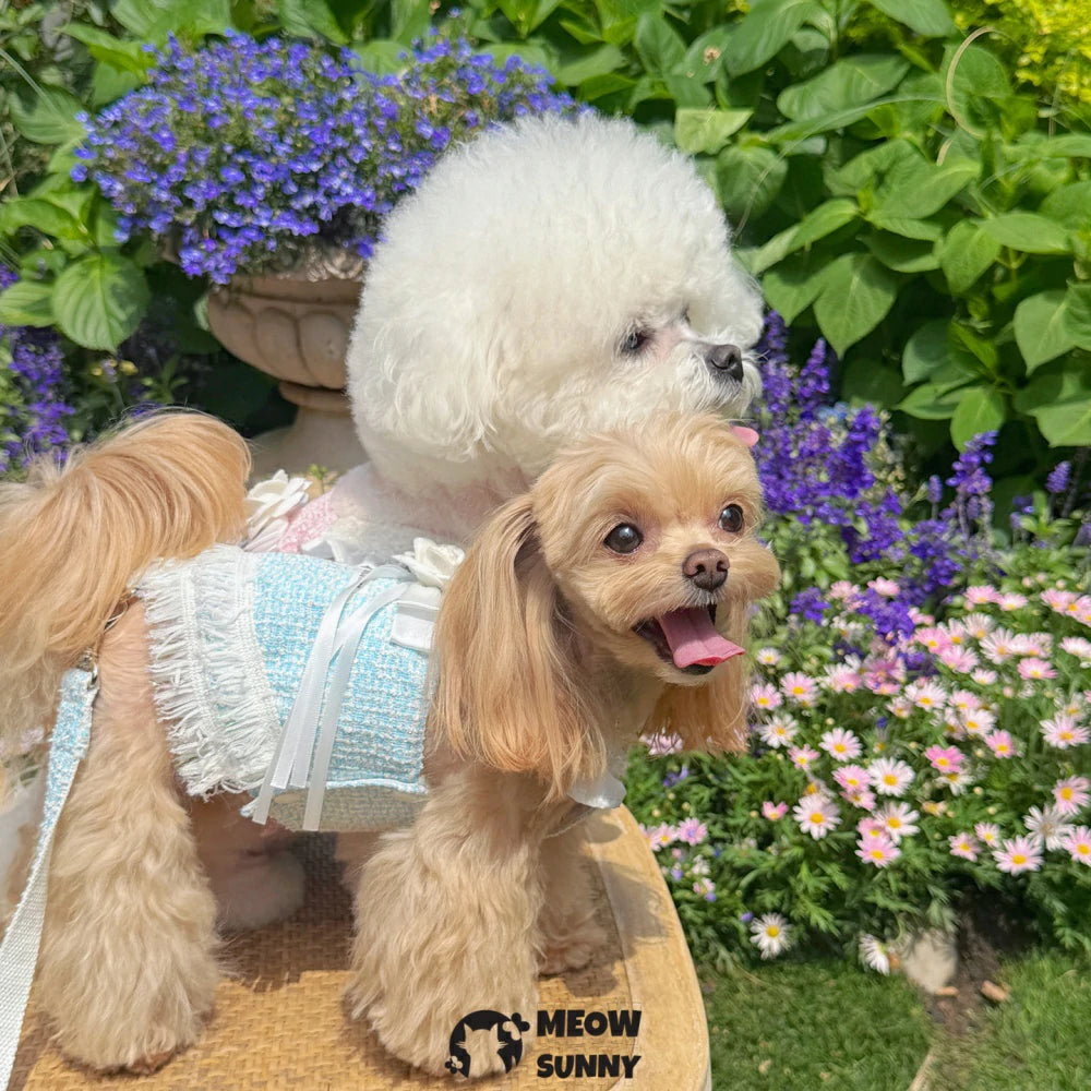 Pet leash dress, thin style for spring and autumn, dog clothes.