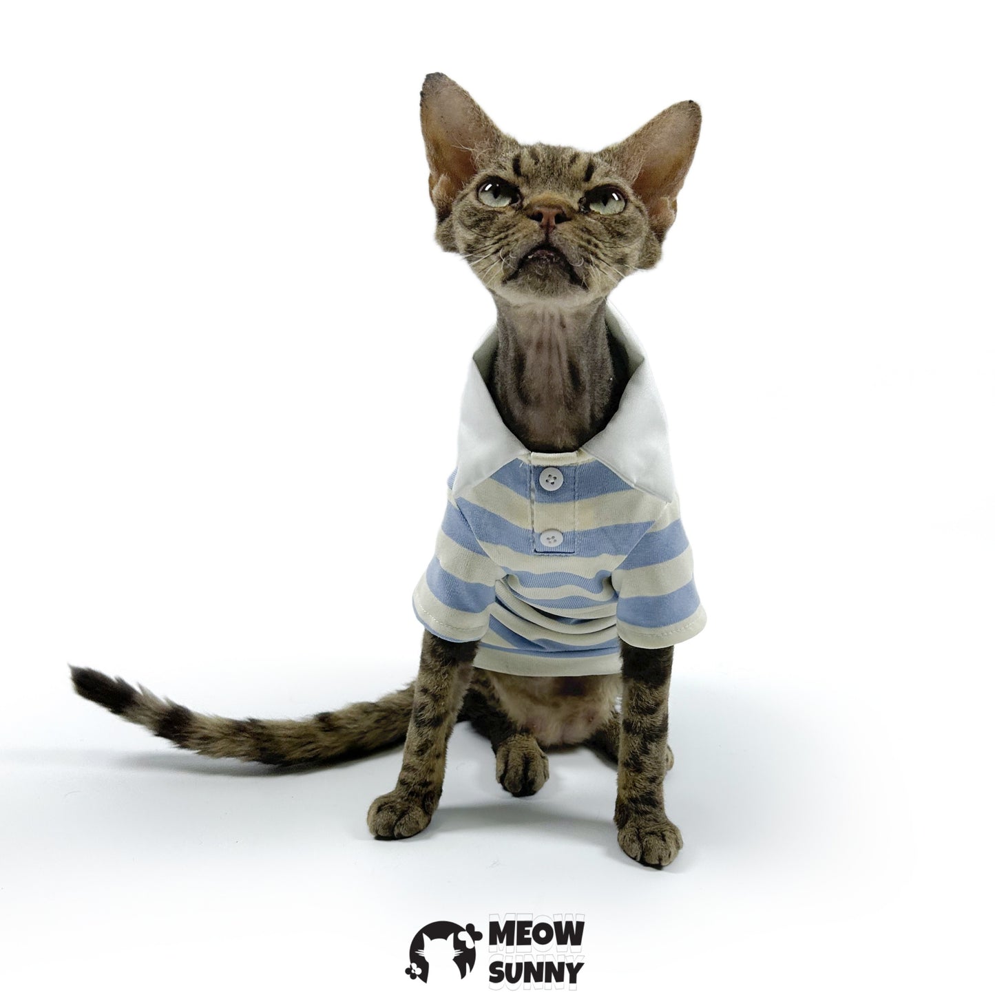 Fashion Striped Dog & Cat Hoodie, Small