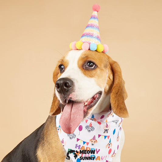 Happy Birthday Dog & Cat Hat and Triangle Bib, Medium