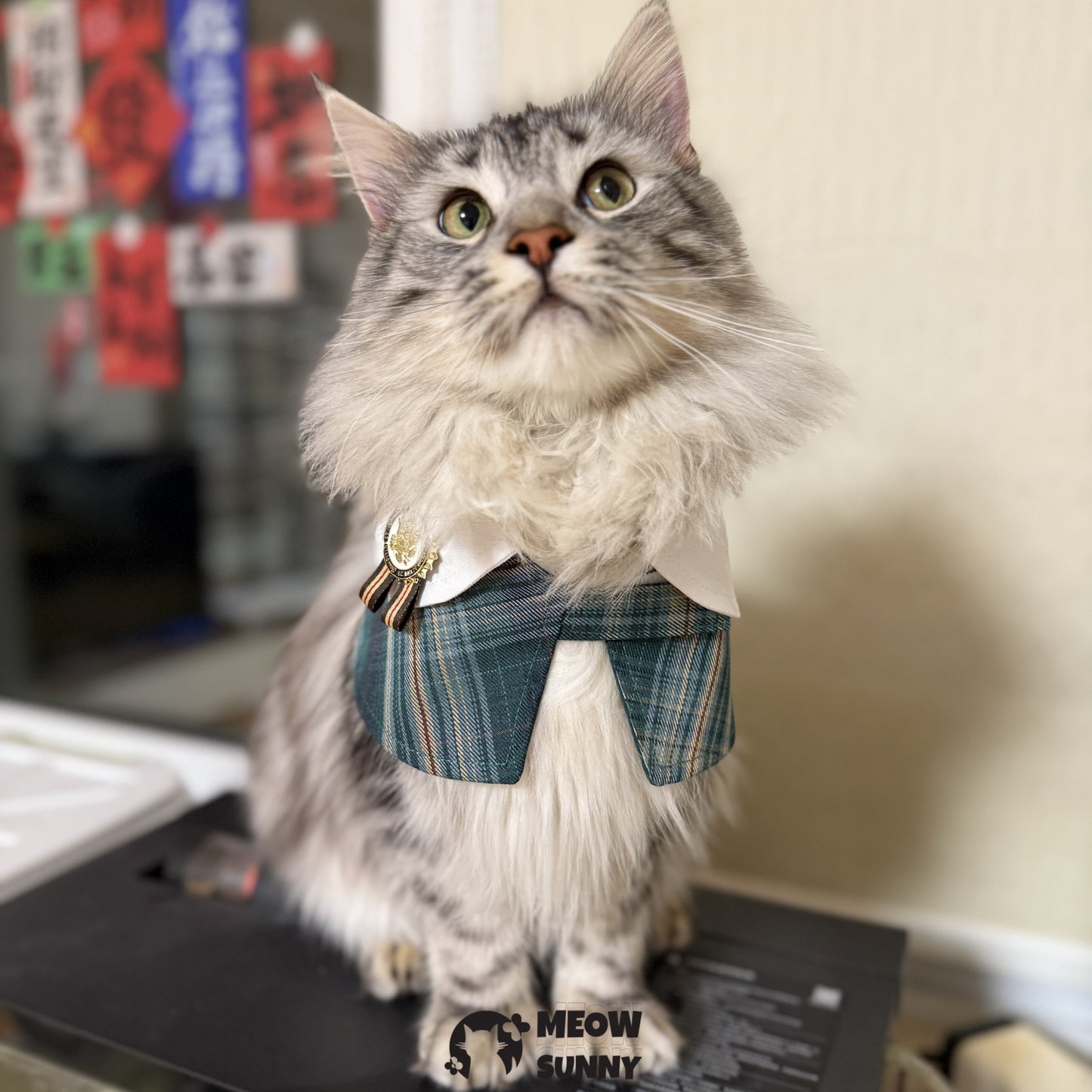 Elegant Dog & Cat Cape Plaid Holiday Pajama