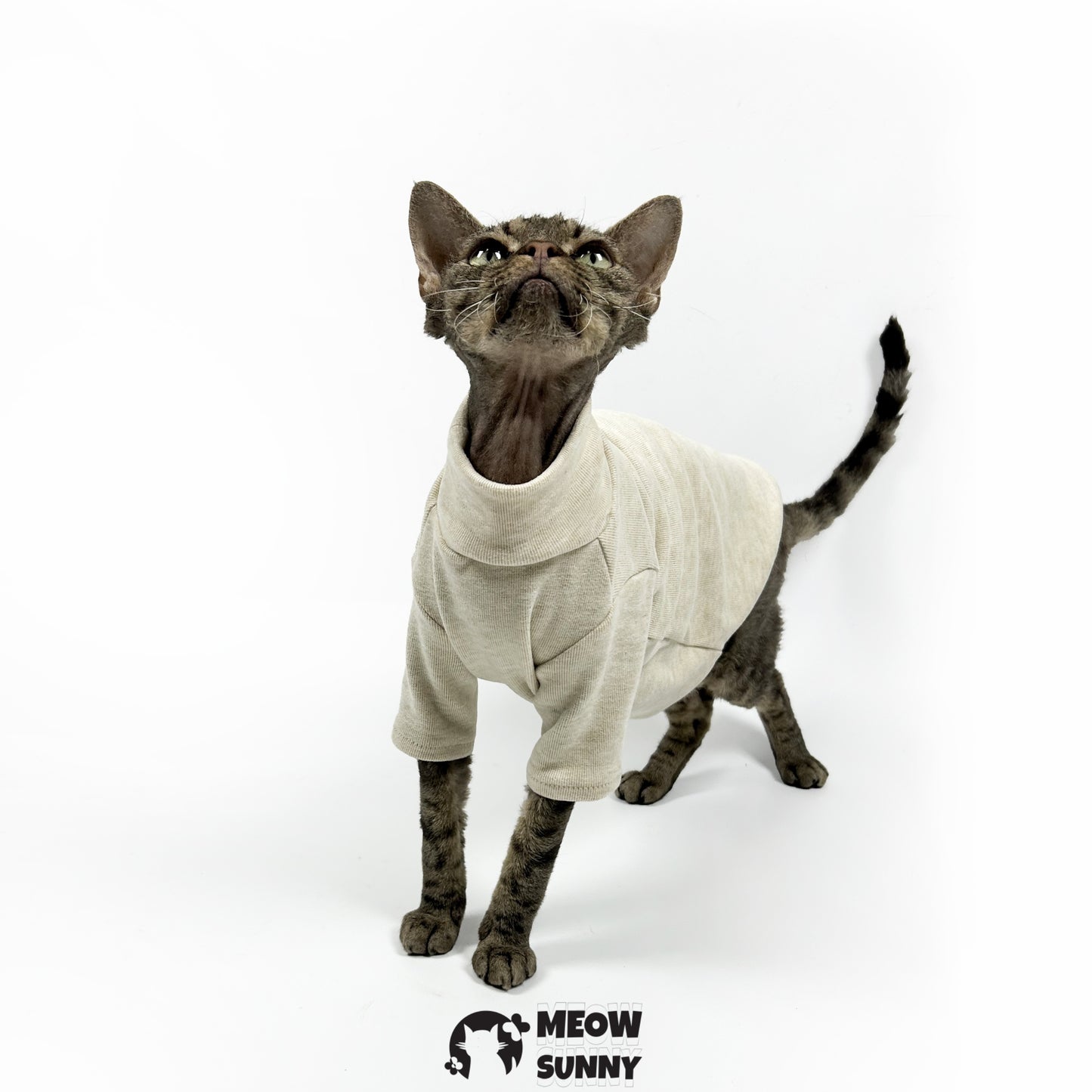 Ribbed Henley Dog & Cat T-Shirt, Small