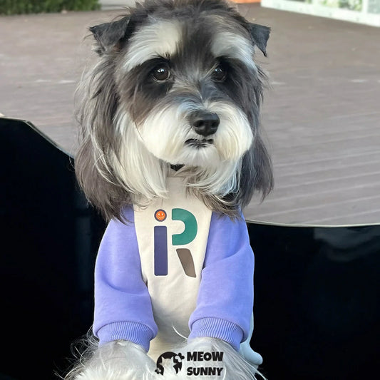 Dog clothes, autumn/winter pet color-block long-sleeved hooded sweatshirt