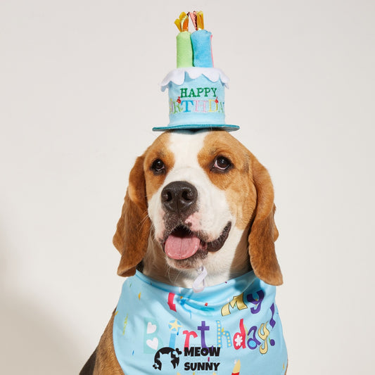 Birthday Cake Dog & Cat Hat with Triangle Bib, Medium
