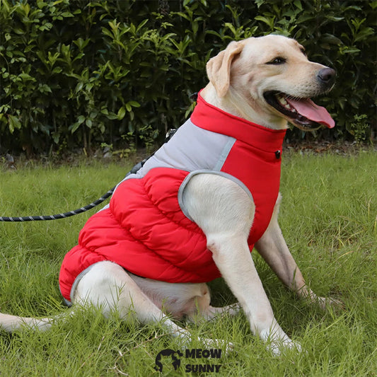 Thickened, warm cotton vest for medium to large dogs, suitable for winter and features a built-in leash attachment.