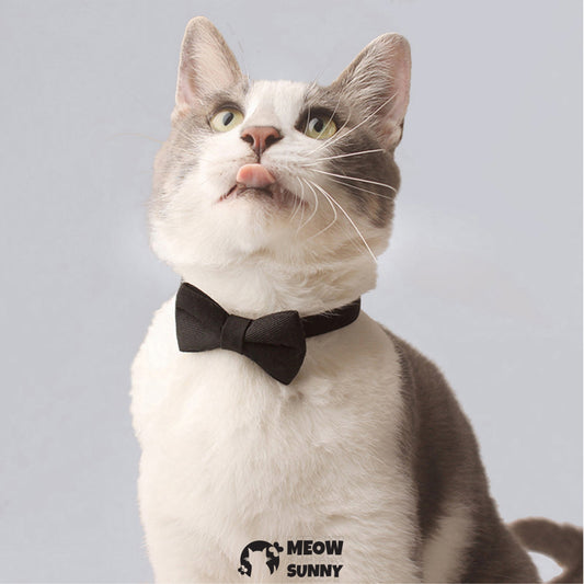 Mimi Holiday Velveteen Bow Tie Dog &Cat Collar Accessory