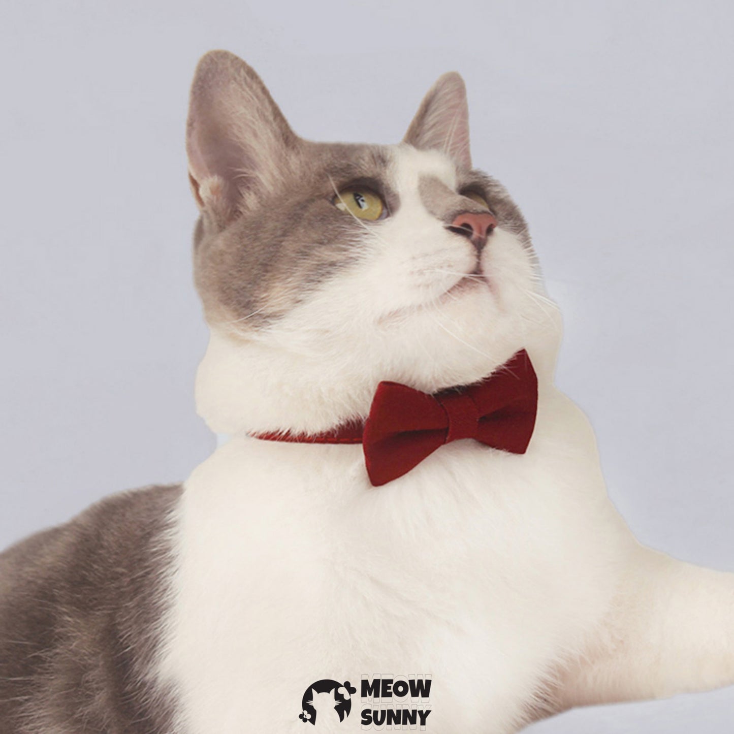 Mimi Holiday Velveteen Bow Tie Dog &Cat Collar Accessory