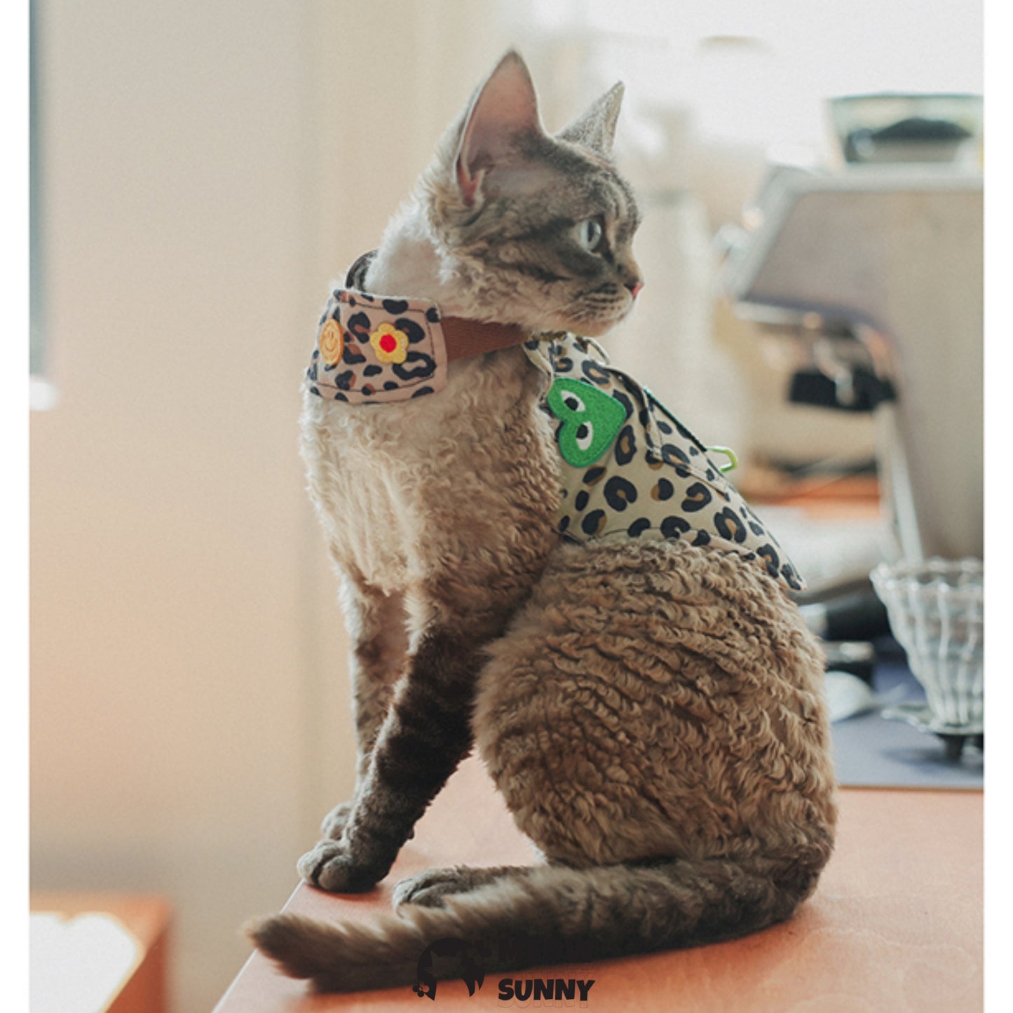 Leopard print trendy cat clothing with hat /Leashes& Harnesses set