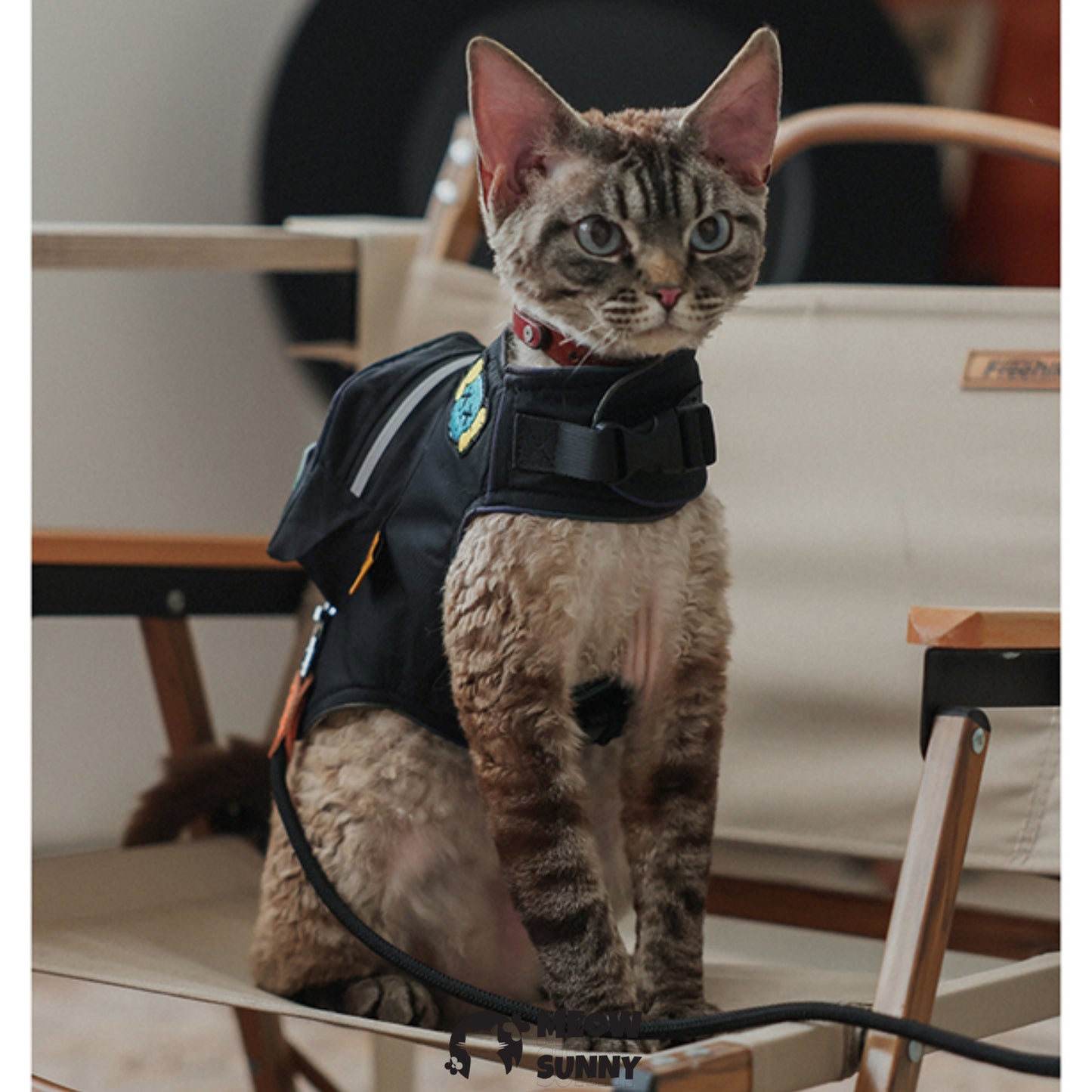 Summer outdoor fashion backpack denim cat vest with hat /Leashes& Harnesses set