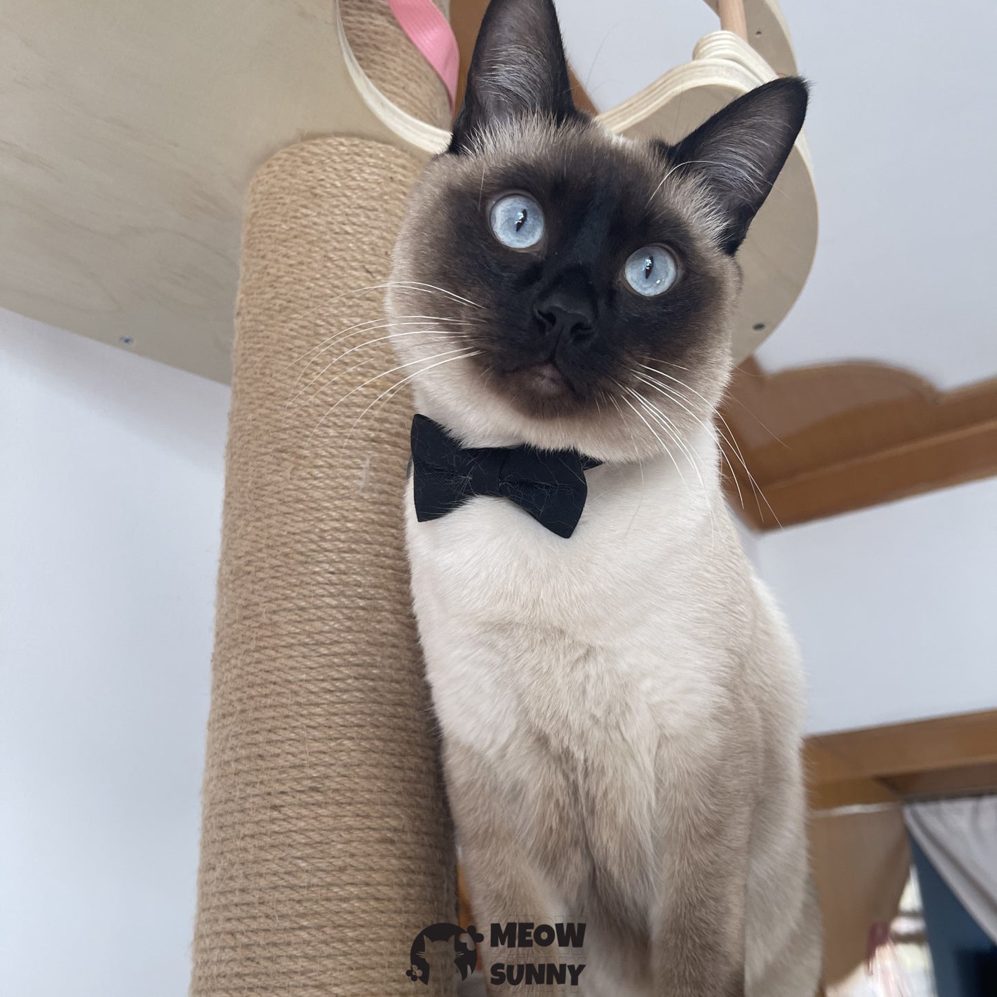 Mimi Holiday Velveteen Bow Tie Dog &Cat Collar Accessory