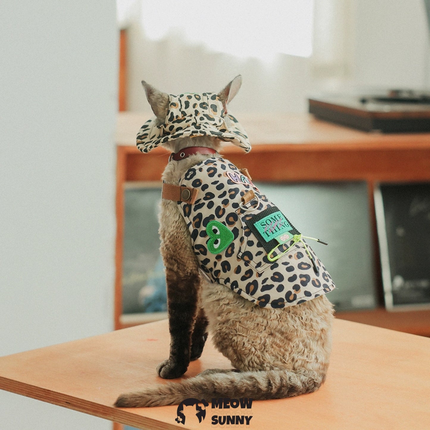Leopard print trendy cat clothing with hat /Leashes& Harnesses set