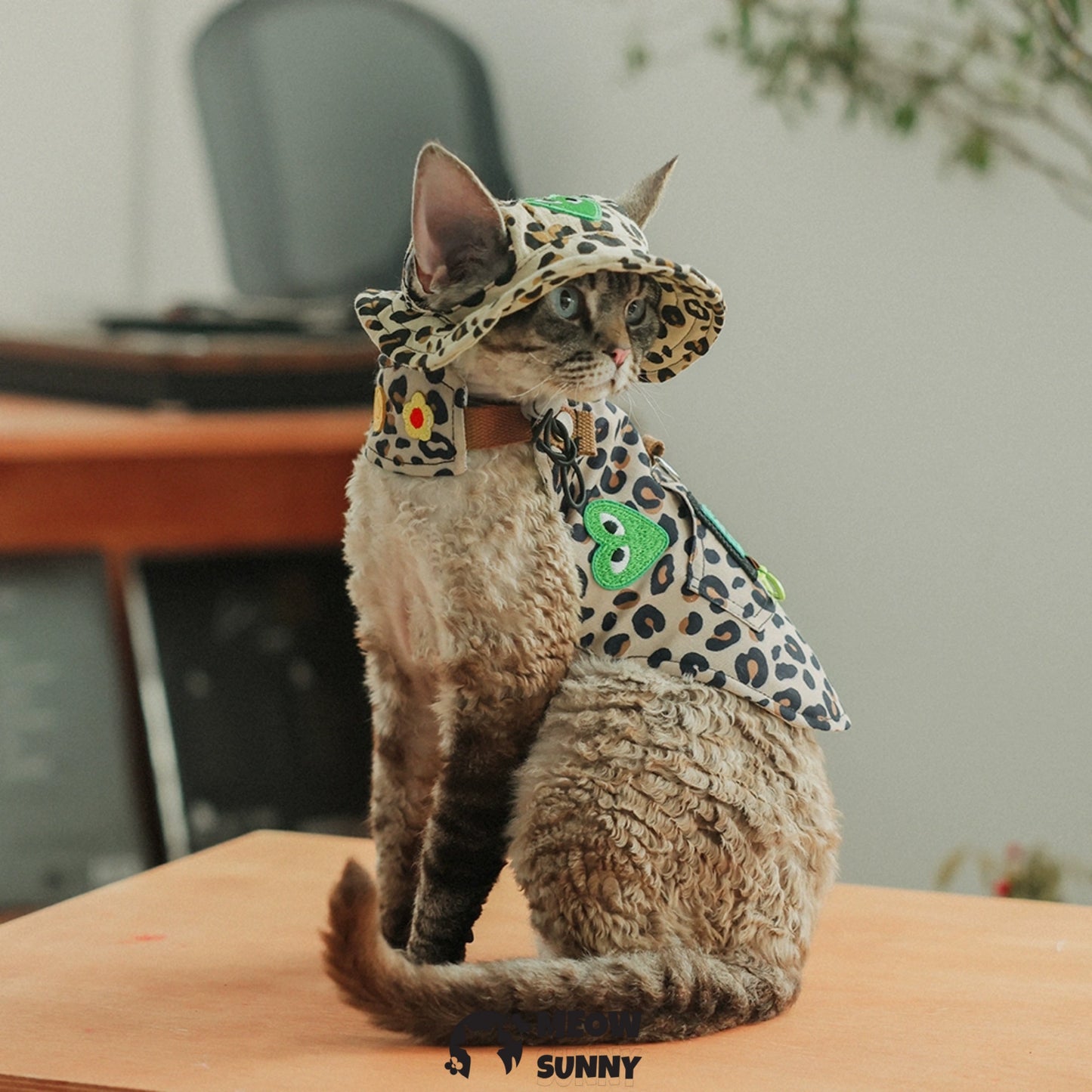Leopard print trendy cat clothing with hat /Leashes& Harnesses set