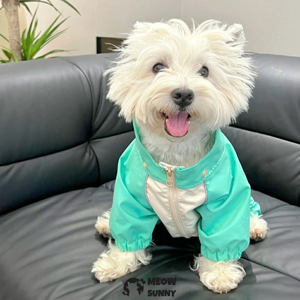 Dinosaur pet dog raincoat with detachable hood