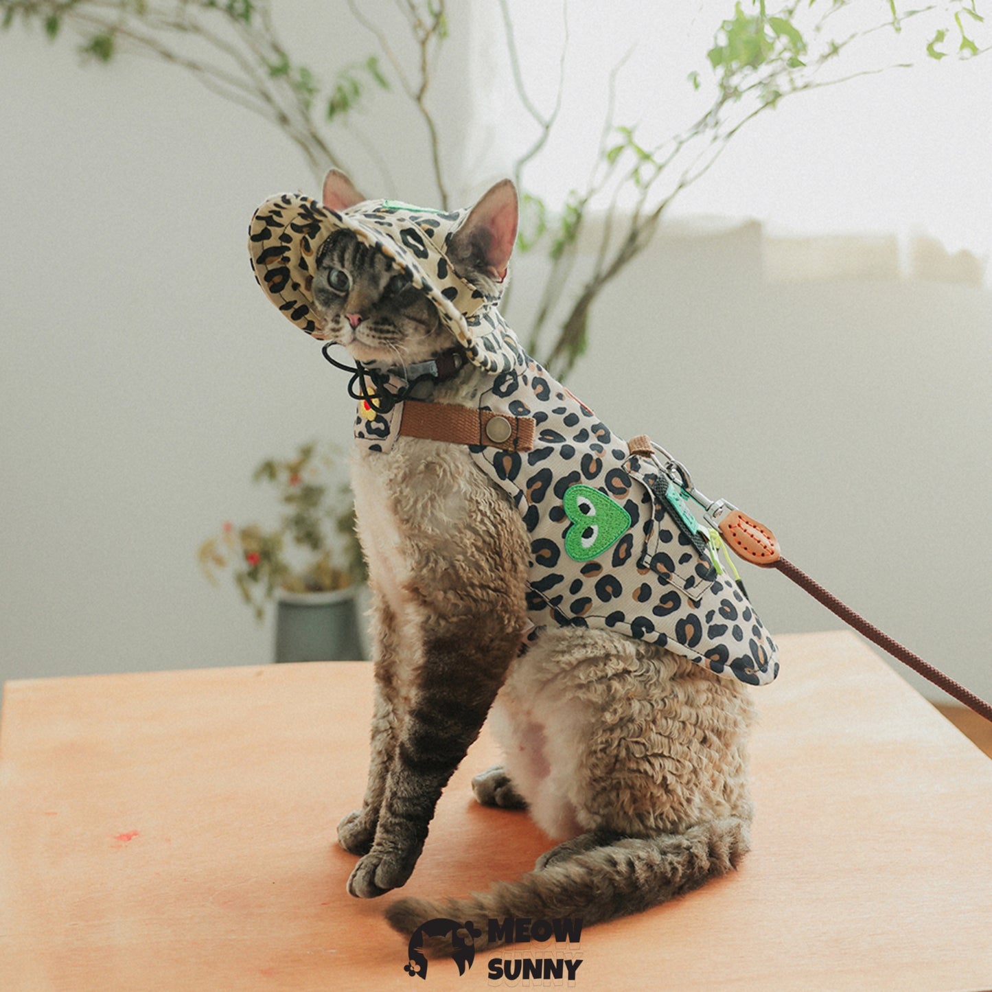Leopard print trendy cat clothing with hat /Leashes& Harnesses set