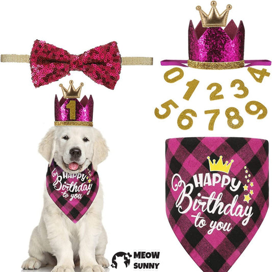 Birthday Glitter Crown Dog & Cat Hat, Medium