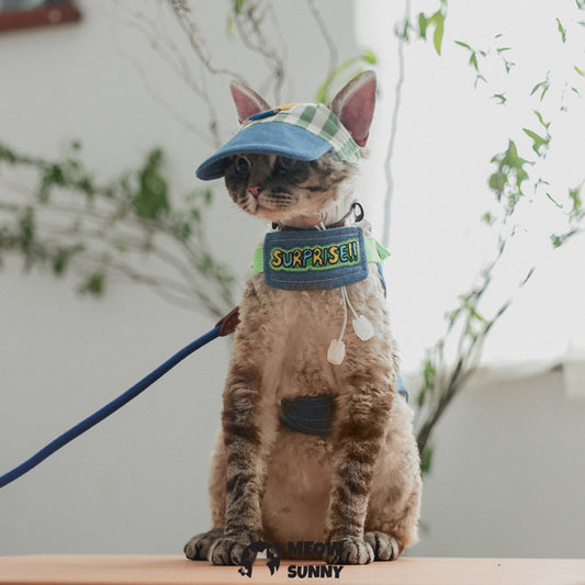 Cute denim trendy cat costume with hat /Leashes& Harnesses set