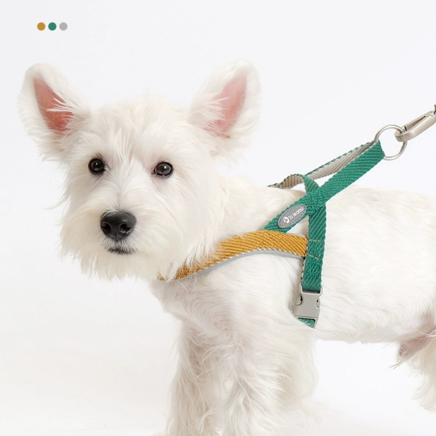 PetSafe Nylon Easy Walk Dog Harness,Medium: 36 to 76-cm Chest