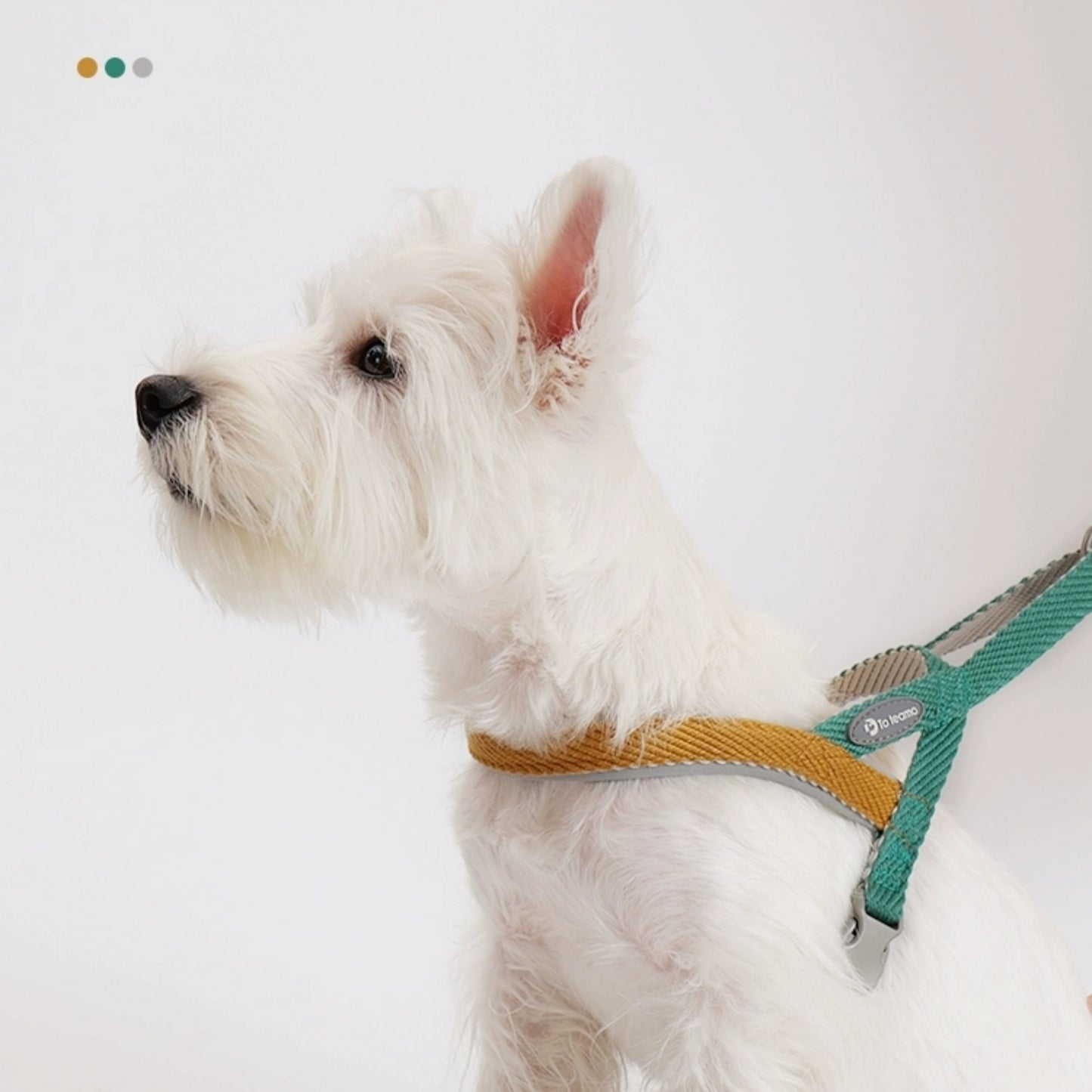 PetSafe Nylon Easy Walk Dog Harness,Medium: 36 to 76-cm Chest
