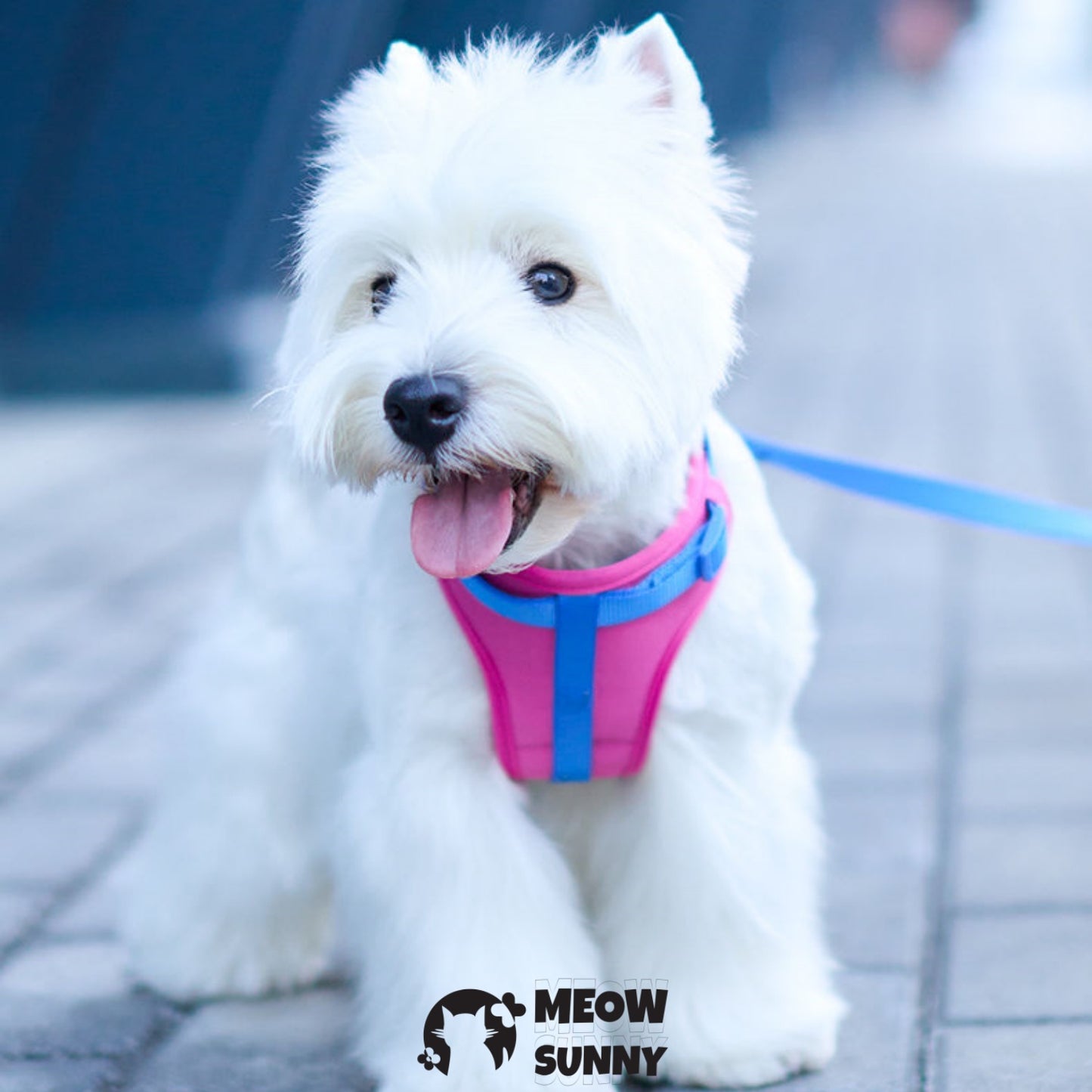 Nylon Dog Harnesses Tow Rope with Small Bag