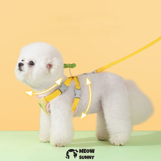 Summer Colorful Flowers Leash Harness Pets to Go Out with Harness & Leash