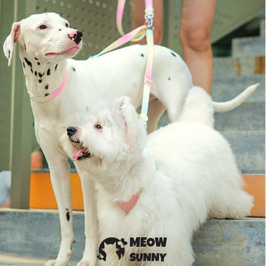 Escape Free Easy Fit Dog Harness, Colorful,1.2M