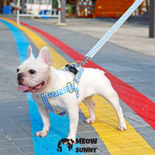 Car Safety Dog Harness with Seat Belt, Blue, Medium: 45 to 76-cm chest
