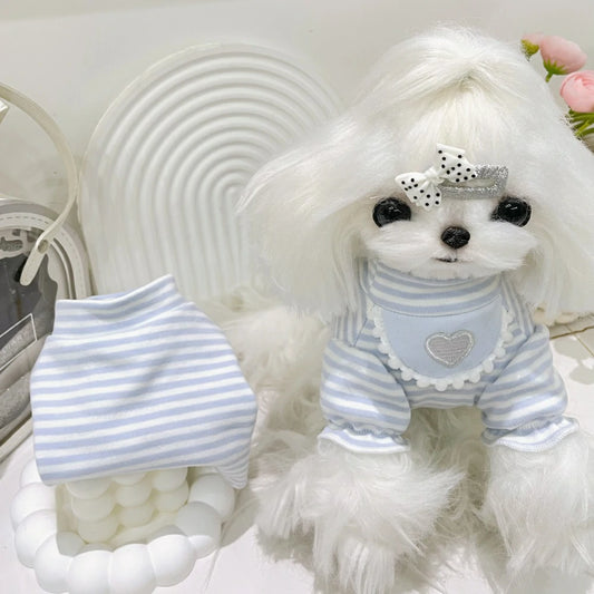 Maltese bottoming shirt and Yorkshire terrier striped skirt