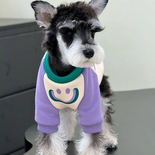 Dog autumn and winter clothes plush cotton colorblock sweatshirt