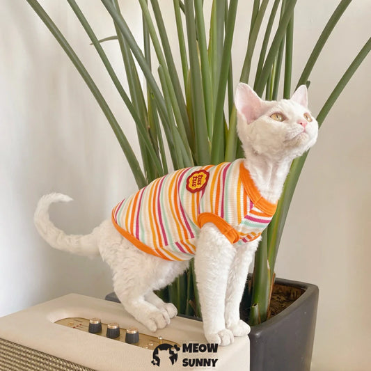 Devon cat clothes pure cotton striped stretch vest