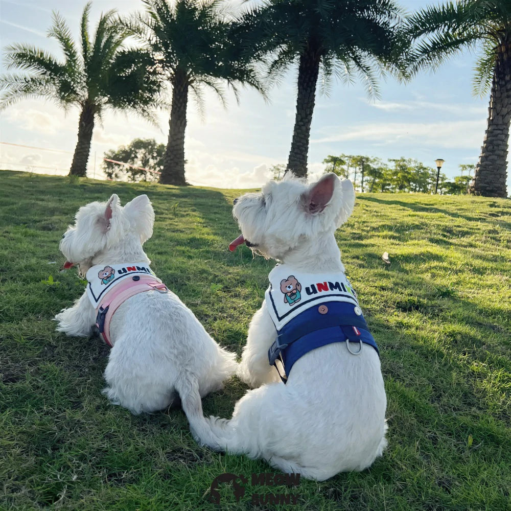 Adjustable sailor collar harness for dog outings