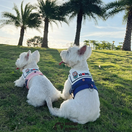 Adjustable sailor collar harness for dog outings