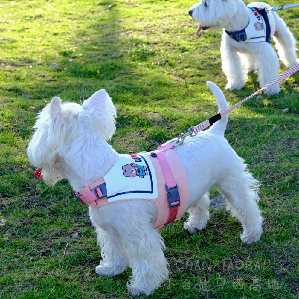Adjustable sailor collar harness for dog outings