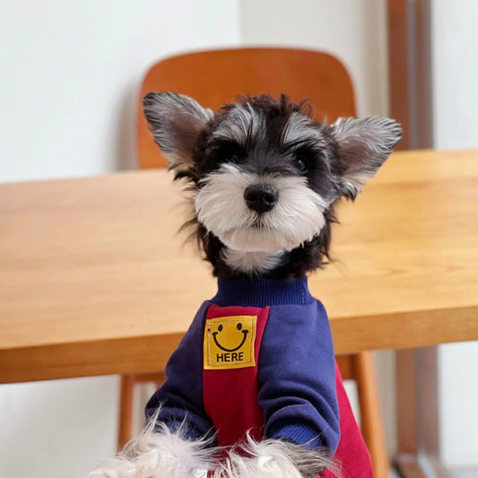 Autumn and Winter Pure Cotton Colorblock Smiley Face Dog Sweatshirt